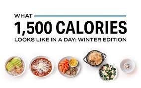 1,500 Calories? Peek Inside a Day!