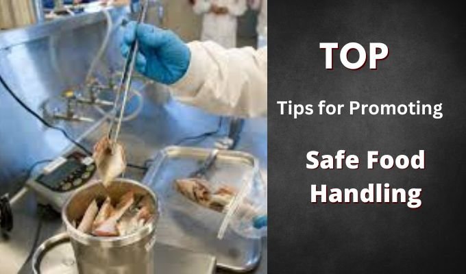 Top Tips for Promoting Safe Food Handling